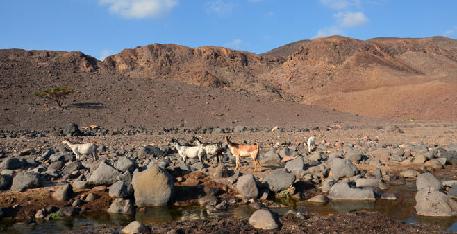 Djibouti Wadi Hike