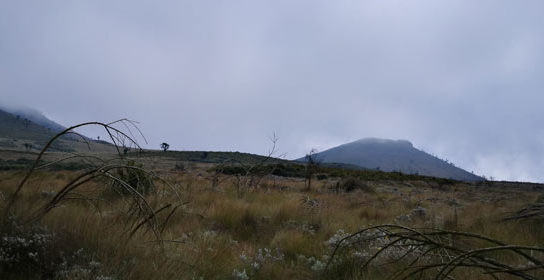 Kilimanjaro Day 2